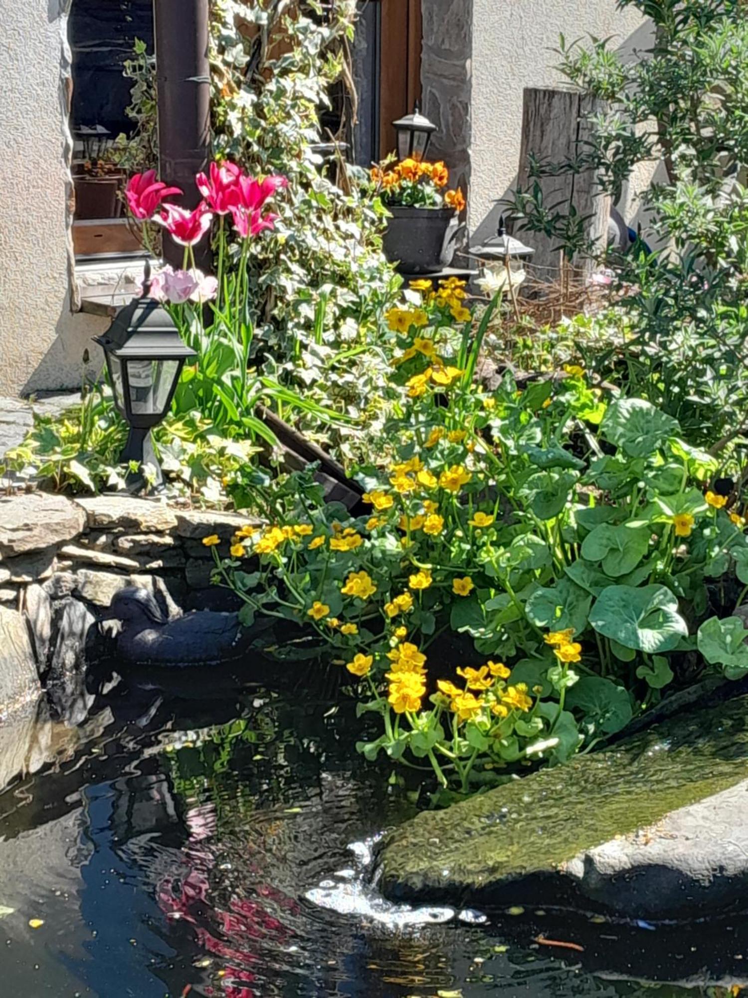 Pokoje Goscinne Skalnik - Agroturystyka Kostrzyn nad Odra Extérieur photo