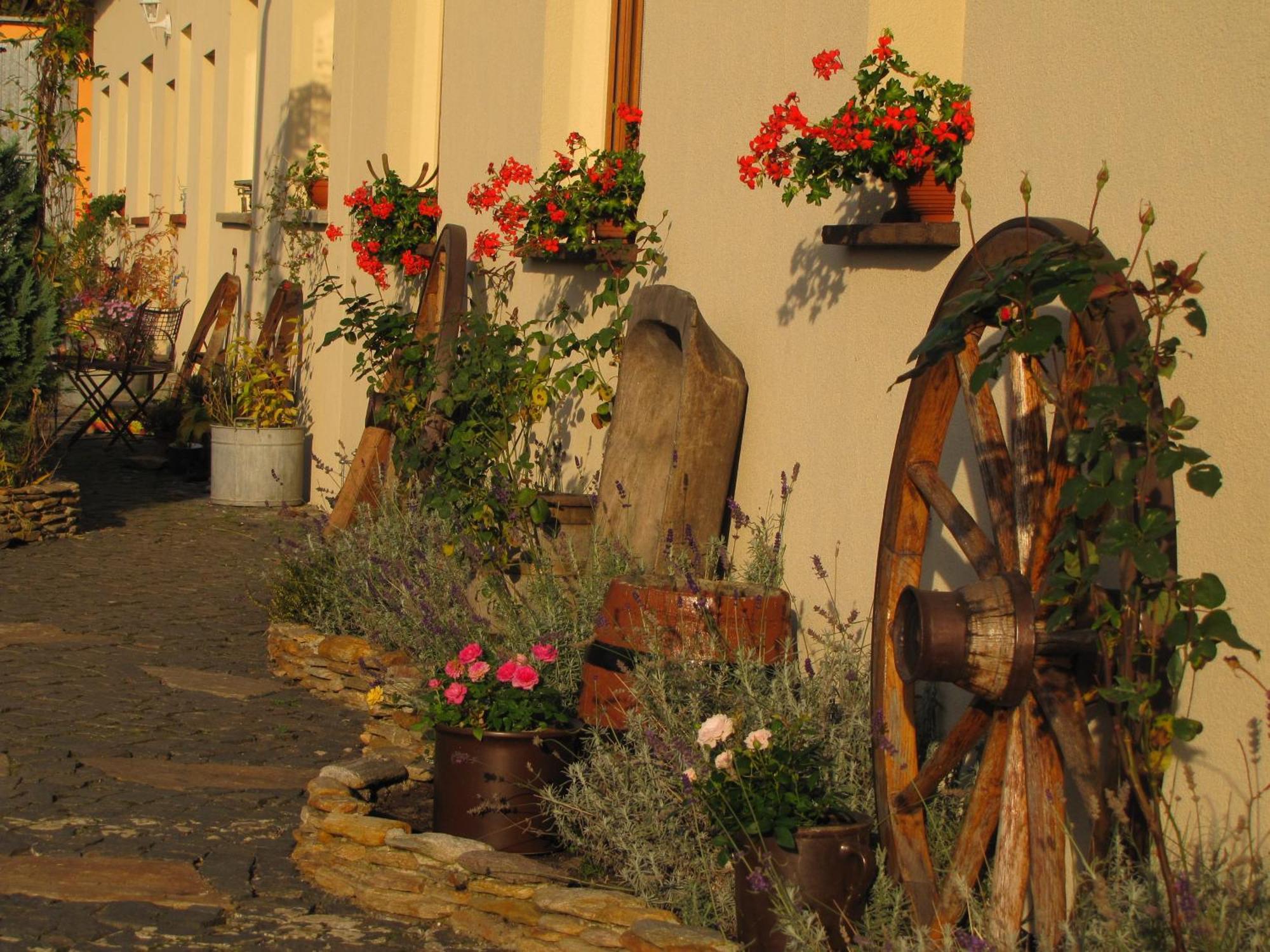 Pokoje Goscinne Skalnik - Agroturystyka Kostrzyn nad Odra Extérieur photo